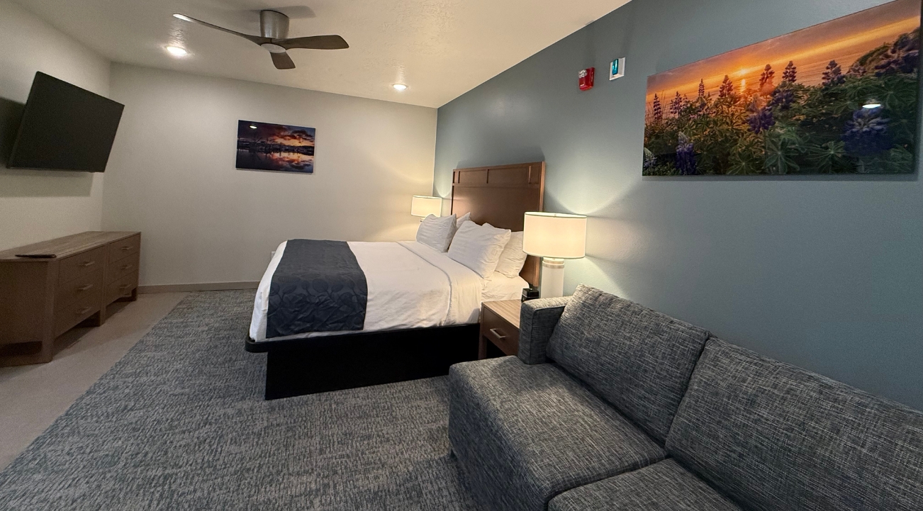 Harbor Single King Accessible Room with bed, TV and couch